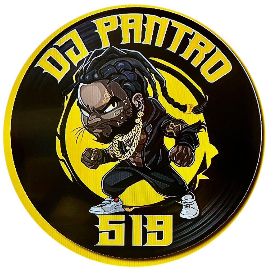 Chibi panthro fighter